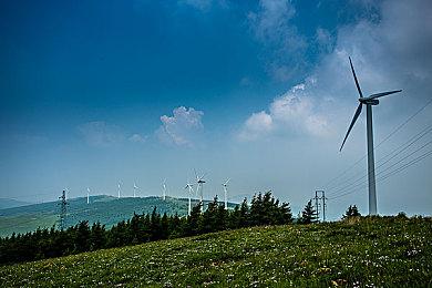 模拟经营游戏《犹格索托斯的庭院：炼金旅社》Steam页面上线 支持简中